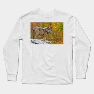 Gray Wolf Long Sleeve T-Shirt